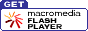 Download the Flash Player