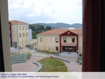 DSC06126_sm
