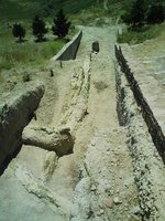 Image0005