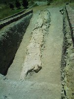 Image0006