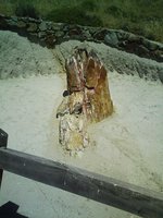 Image0007