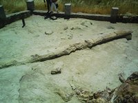 Image0008