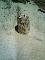 Image0010