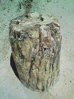 Image0011