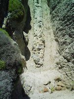 Image0012