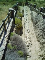 Image0013