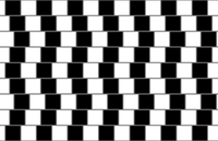 Cafe_wall_illusion