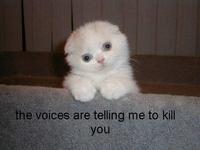 voices-tellMe