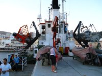 IMG_1263.JPG