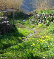 Oikotouristikos Odigos pic03 - Monopati pros Lia