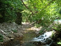 DSC00532