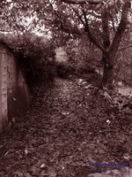 _A282811.JPG