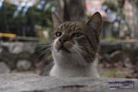 _A282889.JPG