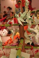 IMG_4622