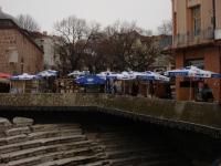 DSC01874.JPG