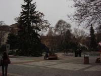 DSC01885.JPG