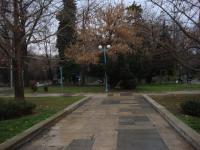 DSC01893.JPG