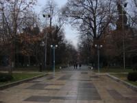 DSC01894.JPG