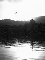 110107_5
