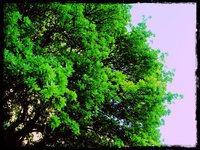 IMG_581014536906768