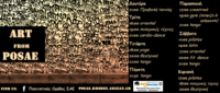 POSAE_prog_earino_2015_FIN