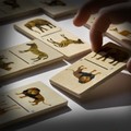 Animal Extinctions Domino game Animals Domino game