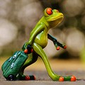 frog welcome travel luggage