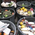 household food trash