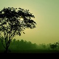Life is a journey