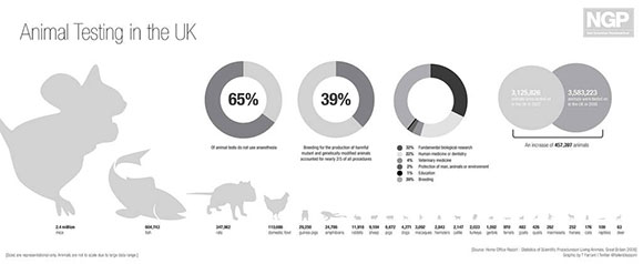 2010 Animal Testing in UK by NGP - infographic