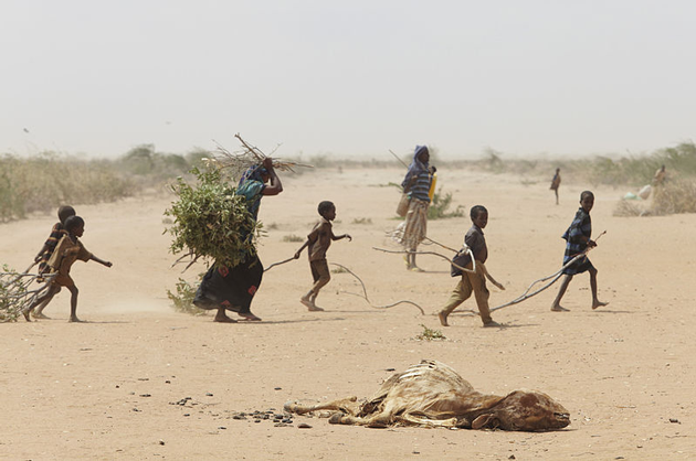 A family gathers sticks and branches for firewood