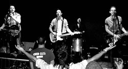 Glasvegas Dundee Doghouse