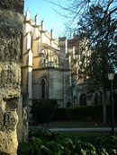 university montpellier