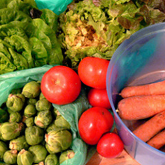 vegetables - bio - organic