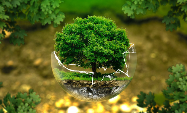 environment protection