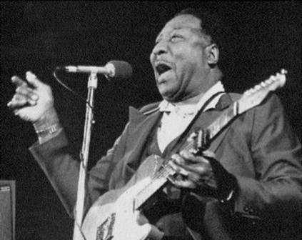Muddy Waters