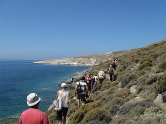 ���������� ��� �������� - �����